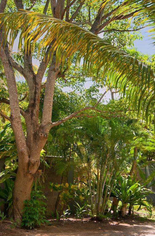 Gardens Retreat Villa Pereybere Beach Buitenkant foto